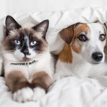 Playa De Catedrales 3000 *