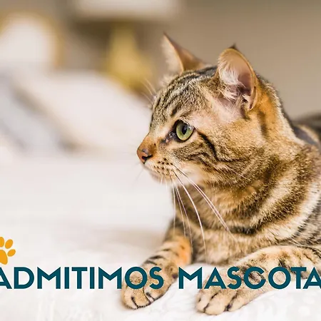 Playa De Catedrales 3000 *